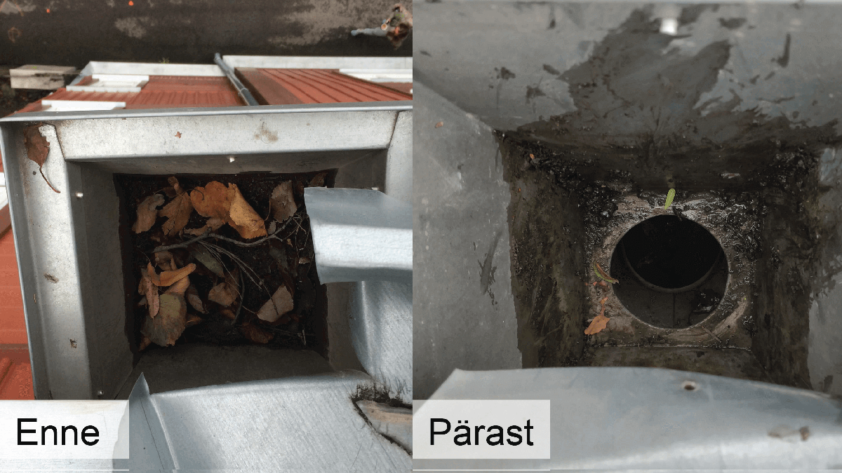 enne-pärast Tolmu eemaldamine